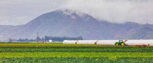 camarillo farming