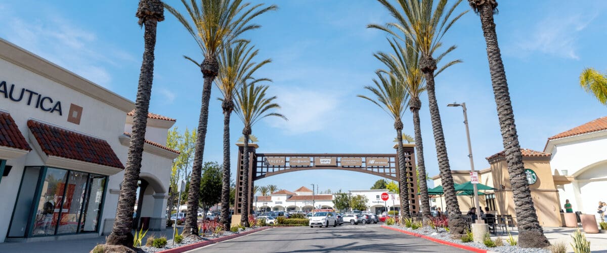 Camarillo Premium Outlets Palm Trees