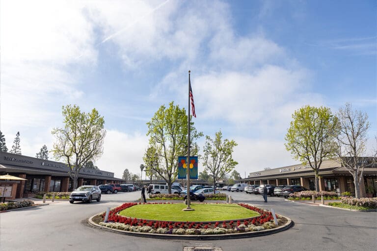Camarillo Las Posas Plaza Flag Pole